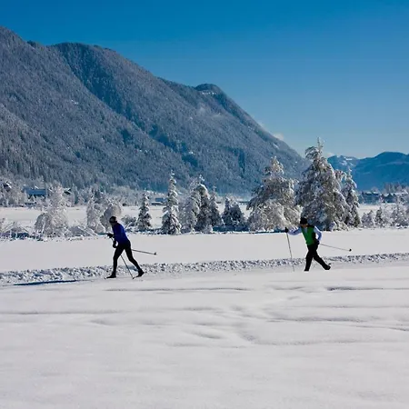 菲伦霍夫纽泽哈尔莫泽酒店 3* 魏森湖