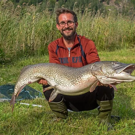 度假村 菲伦霍夫纽泽哈尔莫泽酒店 魏森湖